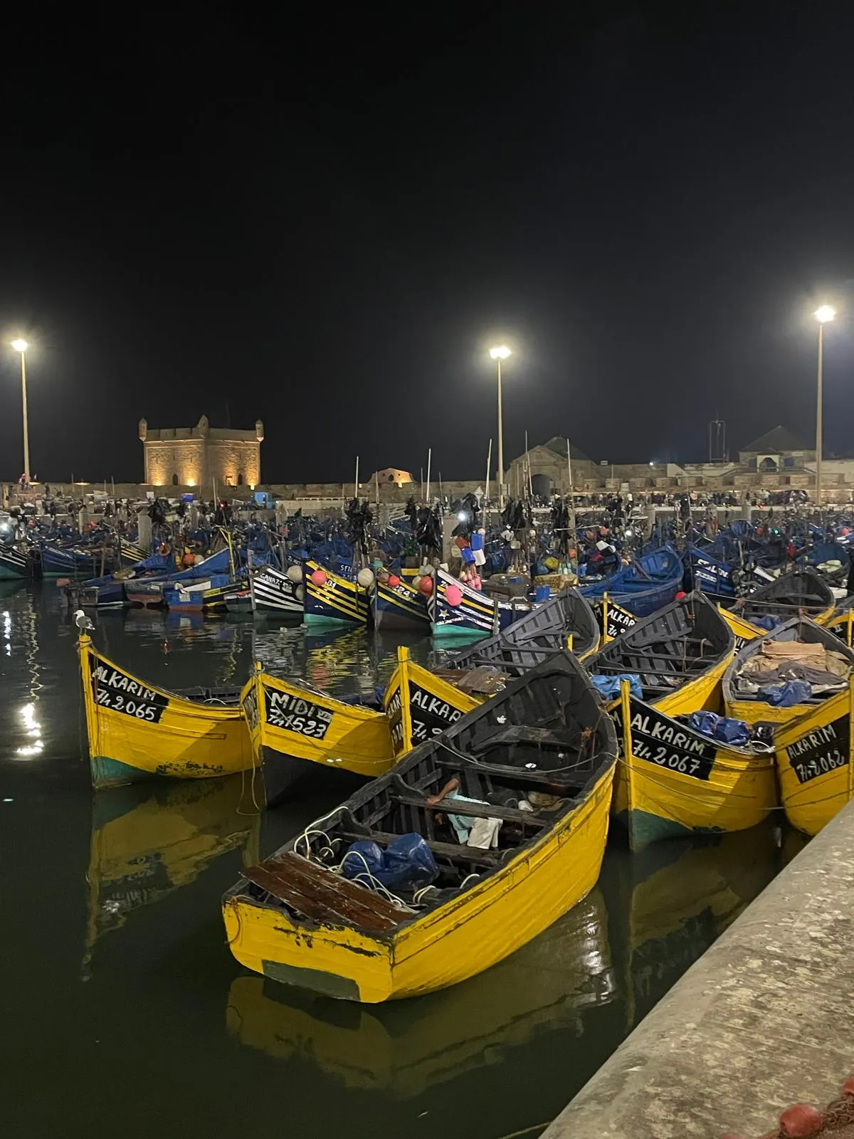 The blue fishing boats in the Essaouira port at dusk